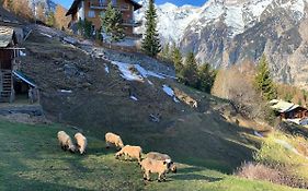 Panorama At Haus Waldheim! Nr 12